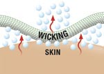 Wicking - Skin Diagram